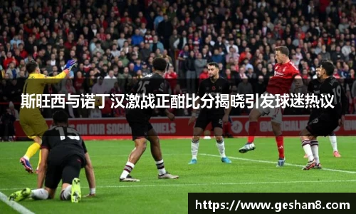 斯旺西与诺丁汉激战正酣比分揭晓引发球迷热议