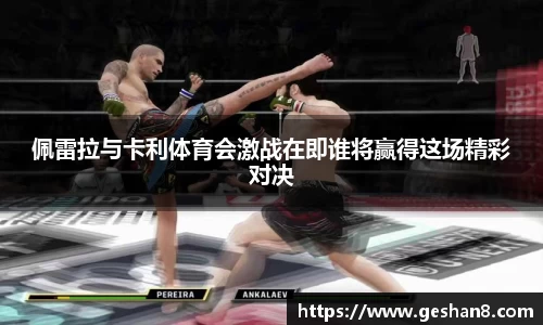 必一bsports体育